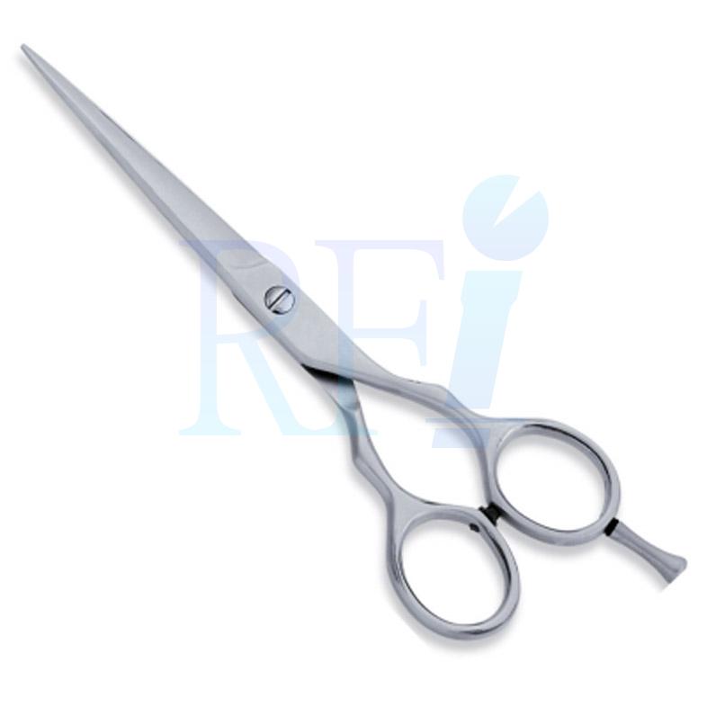  Economy Hair Scissors