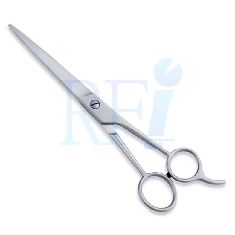  Economy Hair Scissors