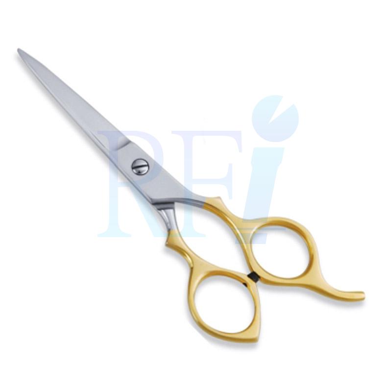  Economy Hair Scissors