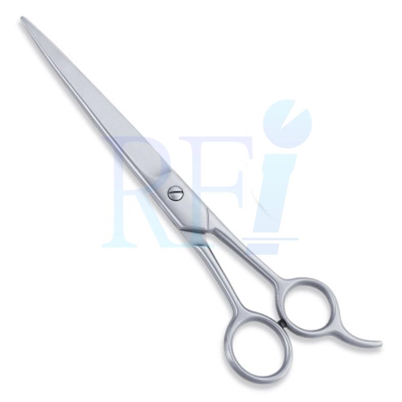  Economy Hair Scissors