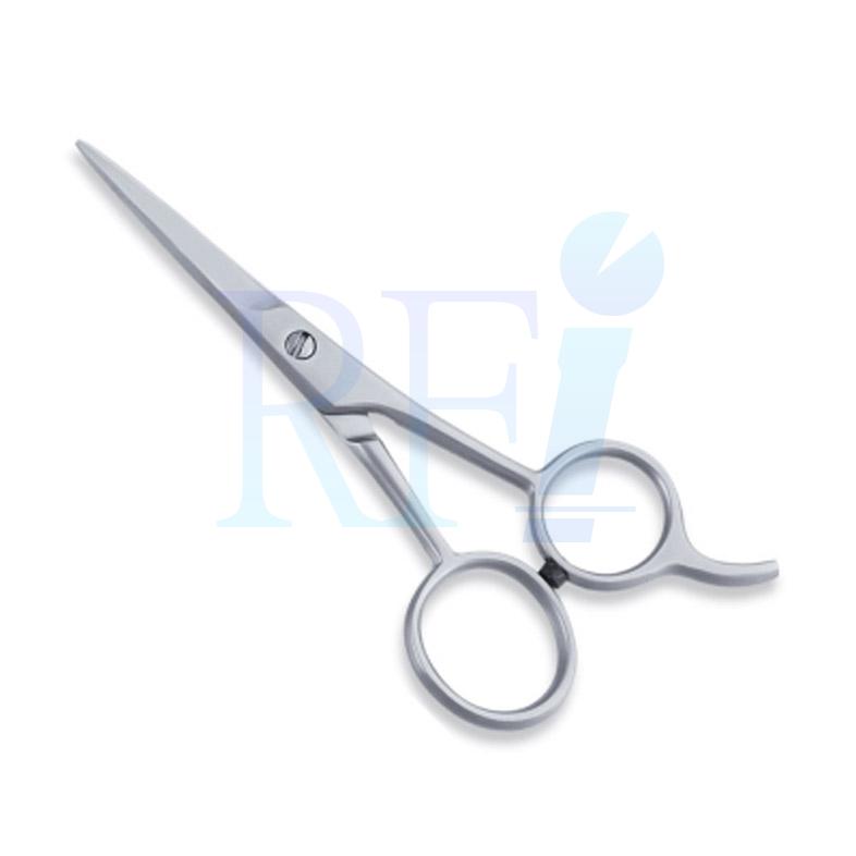  Economy Hair Scissors