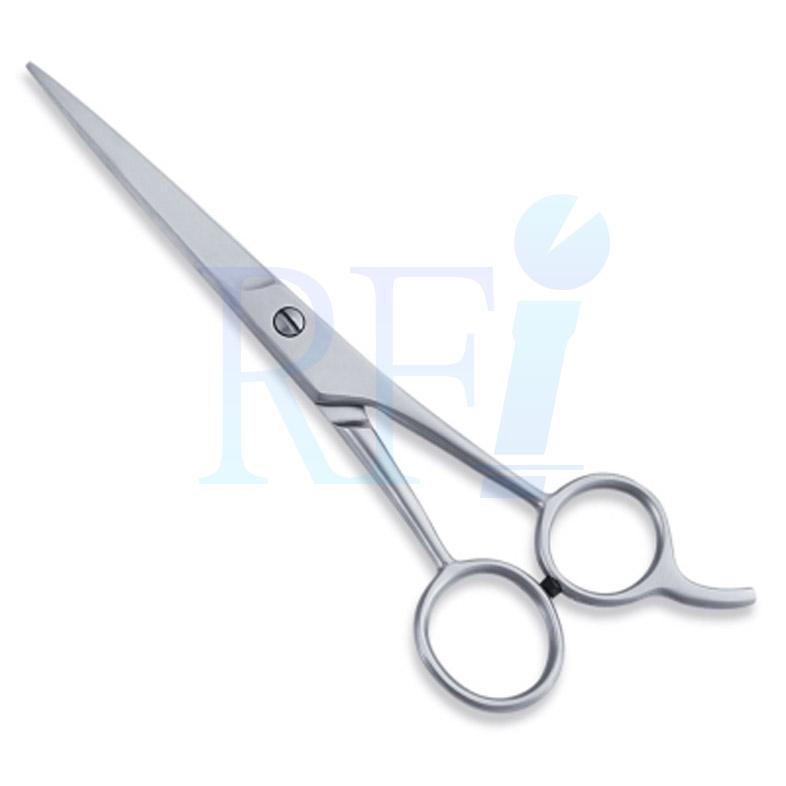  Economy Hair Scissors