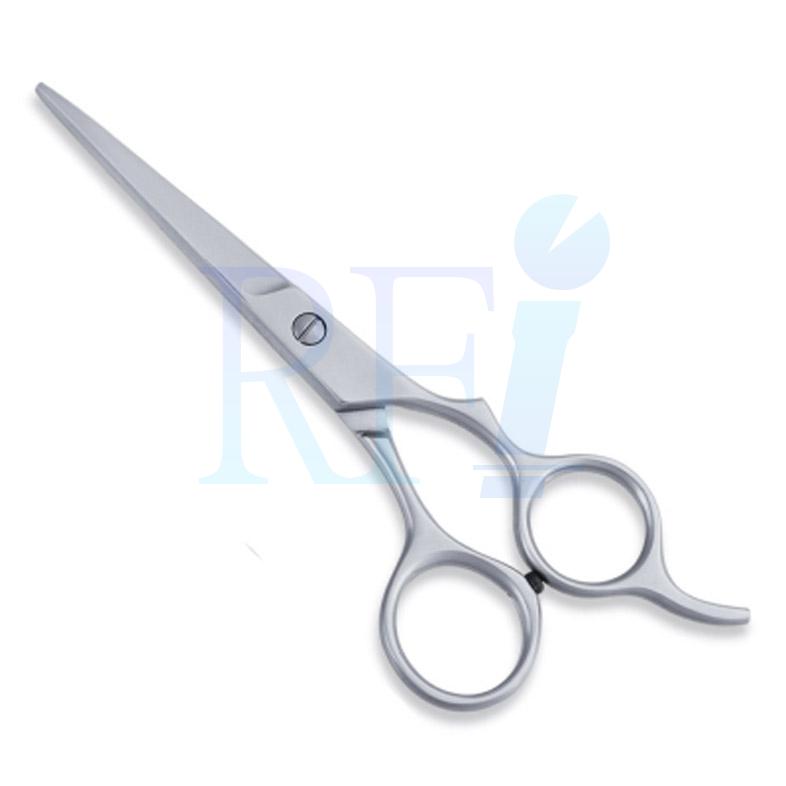  Economy Hair Scissors