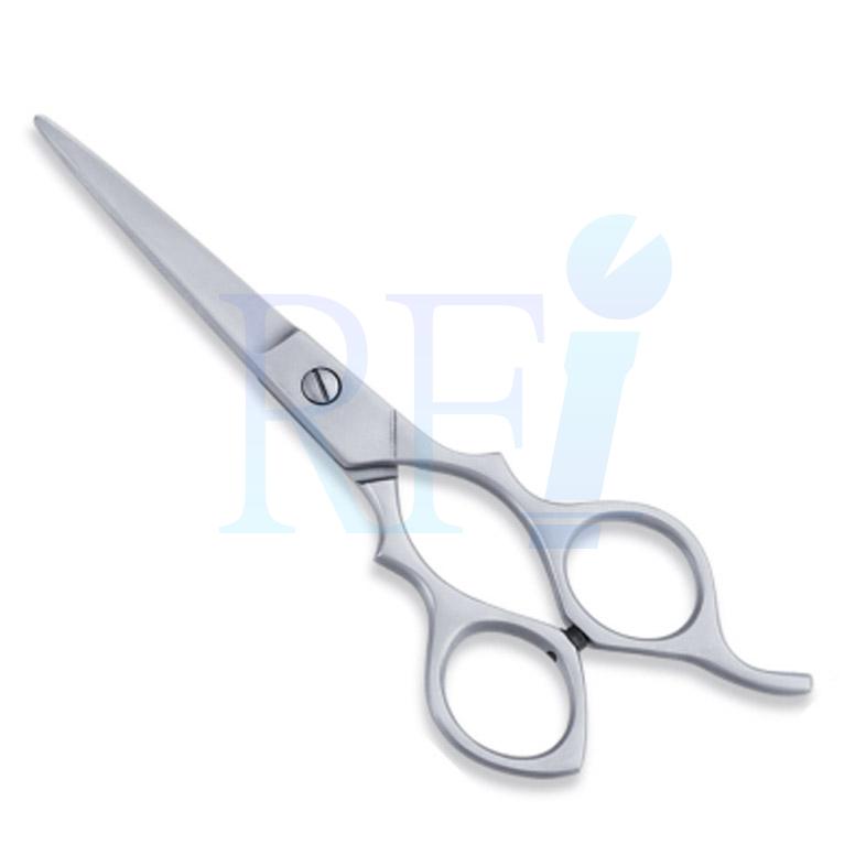  Economy Hair Scissors