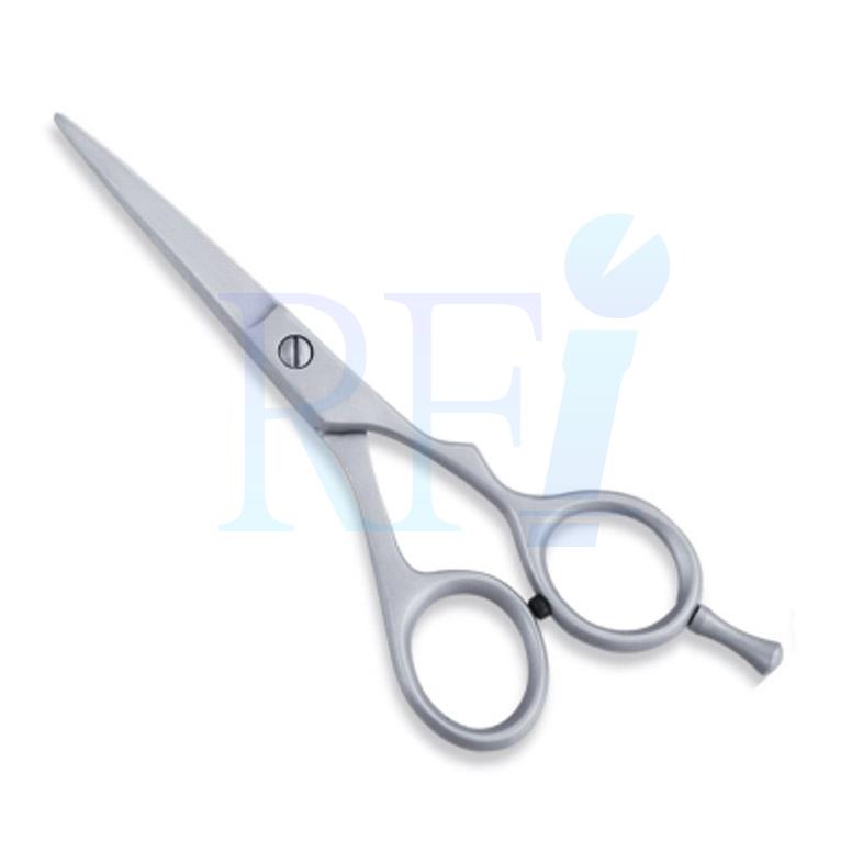  Economy Hair Scissors